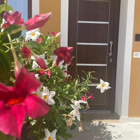 B&B Margani Tropea Exterior photo